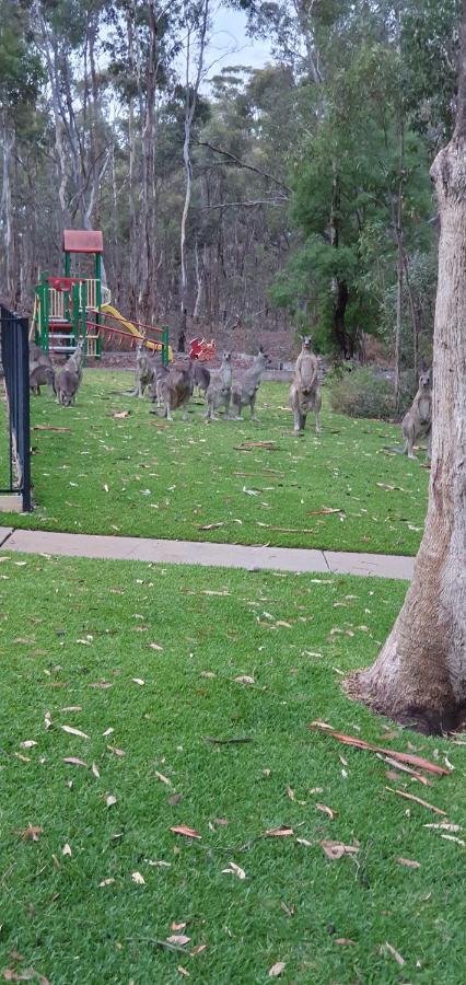 A-Line Holiday Park Bendigo Kültér fotó